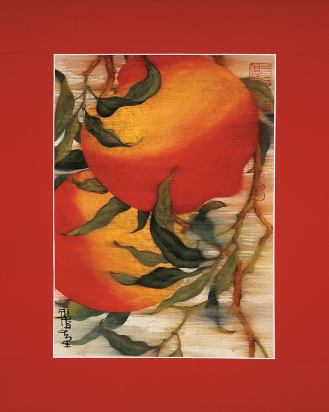 ����ͼ��ҳʮ��