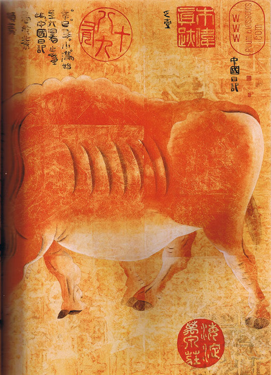 p.41