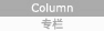 Column